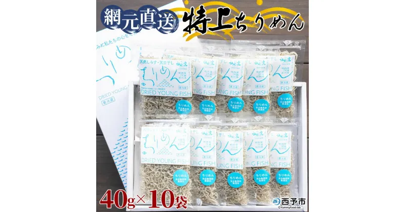 【ふるさと納税】＜天日干し 特上ちりめん 合計400g（40g×10袋）ギフト箱入り＞ じゃこ しらす 小魚 さかな ごはんのお供 贈答 贈り物 御礼 お礼 小分け 無添加 海鮮 海産物 おつまみ おやつ 産地直送 網元・祇園丸 愛媛県 西予市 【冷蔵】『1か月以内に順次出荷』