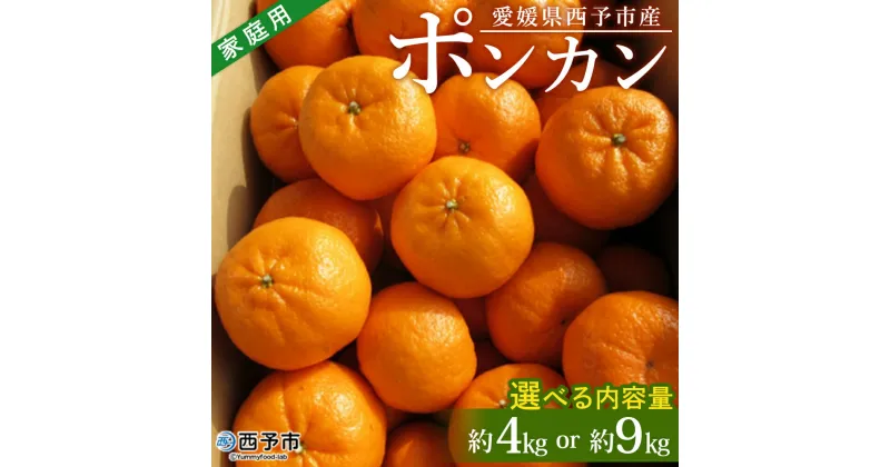 【ふるさと納税】＜愛媛県西予市産 ポンカン 約4kg／9kg 家庭用＞ 果物 くだもの みかん ミカン 柑橘 ぽんかん フルーツ 旬 おいしい 訳あり ワケアリ 自宅用 選べる 特産品 産地直送 段畑みかん 愛媛県 西予市【常温】『2025年1月中旬～2月中旬迄に順次出荷予定』