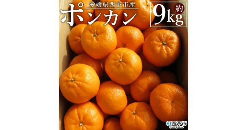 【ふるさと納税】＜愛媛県西予市産 ポンカン 約9kg 贈答用＞ 果物 くだもの フルーツ 蜜柑 ミカン 柑橘 ぽんかん 果実 果肉 ジューシー 特産品 美味しい おいしい 甘い ギフト 産地直送 段畑みかん 愛媛県 西予市【常温】『2025年1月中旬～2月中旬迄に順次出荷予定』