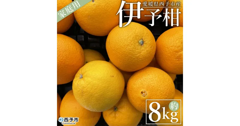 【ふるさと納税】＜愛媛県西予市産 伊予柑 家庭用 約8kg＞ 訳あり ワケアリ 自宅用 果物 くだもの ミカン 柑橘 フルーツ いよかん イヨカン 特産品 産地直送 段畑みかん 愛媛県 西予市【常温】『2025年1月中旬～1月下旬迄に順次出荷予定』