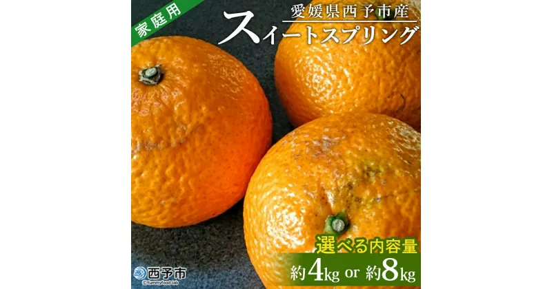 【ふるさと納税】＜愛媛県西予市産 スイートスプリング 家庭用 約4kg／8kg＞ 訳あり ワケアリ すいーとすぷりんぐ 果物 くだもの みかん ミカン 柑橘 甘い フルーツ 果実 果肉 特産品 産地直送 段畑みかん 愛媛県 西予市【常温】『2025年1月中旬～2月中旬迄に順次出荷予定』