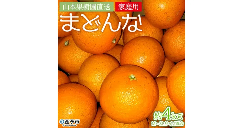 【ふるさと納税】紅まどんなと同品種！＜まどんな 約4kg 家庭用 M～3Lサイズ混合＞果物 オレンジ フルーツ 柑橘 みかん 愛媛果試第28号 マドンナ 自宅用 特産品 産地直送 山本果樹園 西宇和 三瓶産 愛媛県 西予市【常温】『2024年12月上旬～12月下旬迄に順次出荷予定』