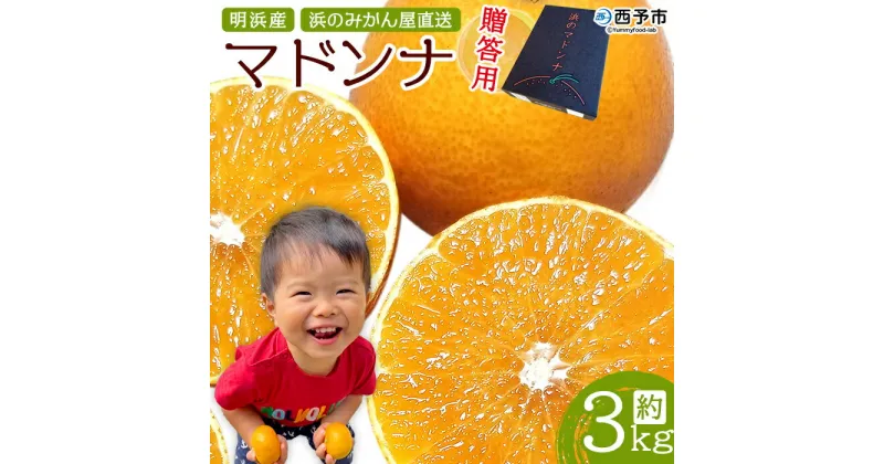 【ふるさと納税】紅まどんなと同品種！＜明浜産 浜のマドンナ 贈答用 約3kg＞ まどんな 果物 フルーツ みかん オレンジ 柑橘類 愛媛果試第28号 ギフト 特産品 産地直送 浜のみかん屋 愛媛県 西予市【常温】『2024年12月上旬～12月中旬迄に順次出荷予定』