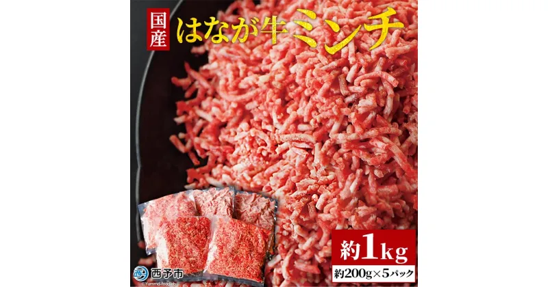 【ふるさと納税】＜はなが牛ミンチ 約1kg （約200g×5パック）＞ 牛肉 国産牛 ハンバーグ 炒め物 煮物 カレー ミートソース パスタ 挽き肉 ひき肉 晩御飯 パーティー 特産品 小分け ゆうぼく 愛媛県 西予市 【冷凍】『1か月以内に順次出荷』