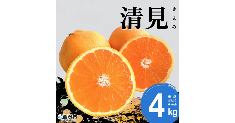 【ふるさと納税】＜おはこやがつくる 清見 約4kg（L～3Lサイズ）＞ 果物 フルーツ 柑橘 清見タンゴール みかん 特産品 西宇和 愛媛県 西予市 【常温】『2025年3月上旬から3月下旬迄に順次出荷予定』