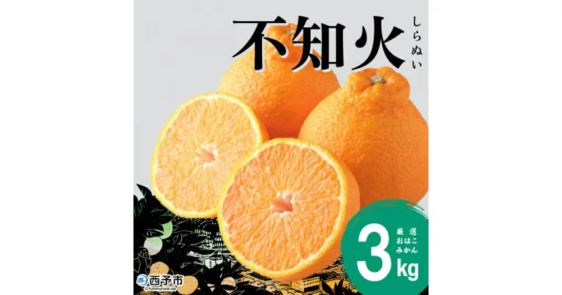 【ふるさと納税】＜おはこやがつくる おはこデコ（不知火）約3kg（L～3Lサイズ）＞ 果物 フルーツ 柑橘 しらぬい みかん 特産品 西宇和 愛媛県 西予市 【常温】『2025年2月上旬から2月下旬迄に順次出荷予定』