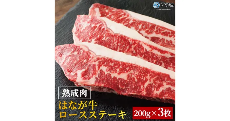 【ふるさと納税】＜熟成肉 はなが牛 ロースステーキ 200g×3枚 計600g＞ 牛肉 サーロイン 鉄板焼き 焼き肉 バーベキュー BBQ 国産 小分け 特産品 愛媛県 ゆうぼく 西予市【冷凍】『1か月以内に順次発送』