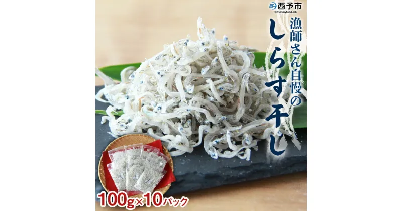 【ふるさと納税】＜漁師さん自慢のしらす干し 1kg(100g×10パック)＞ シラス 魚介類 さかな 海産物 海鮮 海の幸 小分け 国産 ご飯のお供 丼 おつまみ 晩酌 おかず おやつ 特産品 産地直送 濱田水産 愛媛県 西予市 【冷凍】『1か月以内に順次出荷予定』