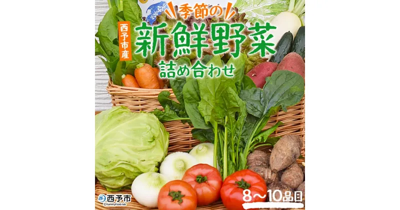 【ふるさと納税】＜季節の新鮮野菜の詰め合わせ＞ 西予市産 愛媛県産 国産 旬 季節の野菜 やさい セット 8～10品目 お楽しみ 特産品 百姓百品株式会社 愛媛県 西予市 【冷蔵】『1か月以内に順次出荷予定』