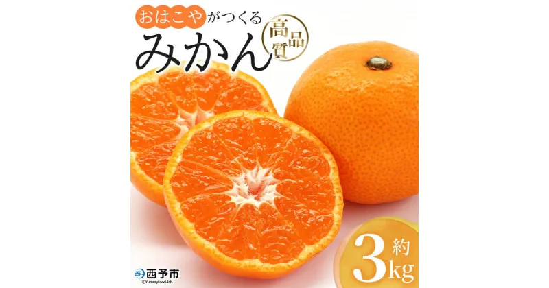 【ふるさと納税】＜おはこやがつくる 高品質みかん 約3kg（S～Lサイズ）＞ 果物 フルーツ 柑橘 ミカン 蜜柑 特産品 西宇和 愛媛県 西予市 【常温】『2024年11月中旬から12月中旬迄に順次出荷予定』