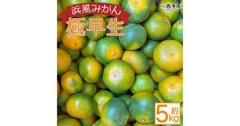 【ふるさと納税】先行予約＜浜風みかん 極早生 約5kg＞はまかぜみかん ごくわせ 柑橘 蜜柑 ミカン 果物 フルーツ 特産品 はないろ 愛媛県 西予市 【常温】『2024年10月上旬～10月下旬迄に順次出荷予定』