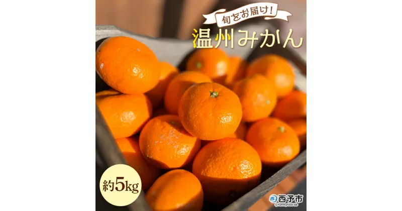 【ふるさと納税】＜旬をお届け！温州みかん 約5kg＞ 数量限定 ミカン 蜜柑 果物 柑橘類 果実 オレンジ フルーツ 早生 20号 手軽 特産品 国産 明浜産 二ノ宮商事株式会社 愛媛県 西予市【常温】『2024年11月上旬から12月末迄に順次出荷予定』