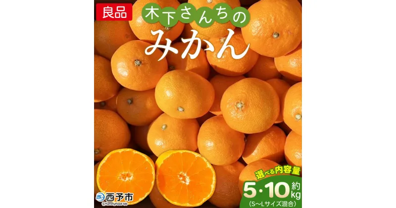 【ふるさと納税】＜木下さんちのみかん 良品 約5kg／10kg（S～Lサイズ混合）＞ 柑橘類 温州みかん うんしゅうみかん みかん ミカン 蜜柑 果物 くだもの フルーツ 選べる内容量 特産品 木下農園 西宇和 愛媛県 西予市【常温】『2024年11月下旬から12月に順次出荷予定』