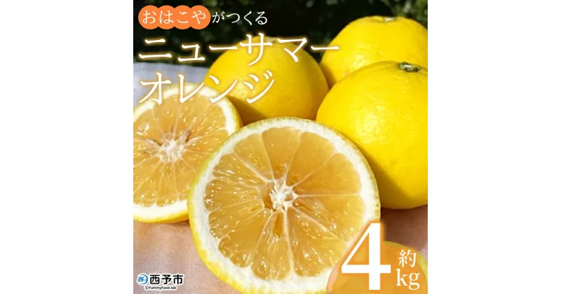 【ふるさと納税】＜おはこやがつくる ニューサマーオレンジ 約4kg（L～3Lサイズ）＞ 果物 フルーツ 柑橘 ミカン 蜜柑 日向夏 小夏 特産品 西宇和 愛媛県 西予市【常温】『2025年4月上旬から4月下旬迄に順次出荷予定』