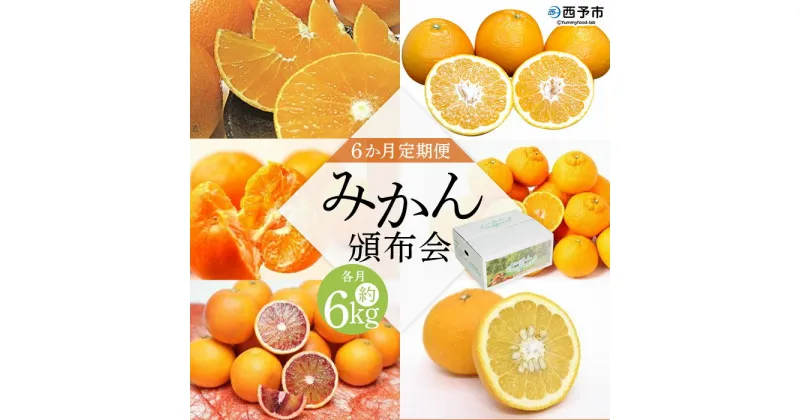 【ふるさと納税】＜6か月定期便 みかん頒布会 3種×約2kg＞ 果物 フルーツ みかん ミカン 柑橘 柿 オレンジ まどんな ブラッドオレンジ なつみ はるか ネーブル ポンカン 甘夏 食べて応援 特産品 愛媛県 西予市【常温】『2024年12月に第1回目を順次出荷予定』