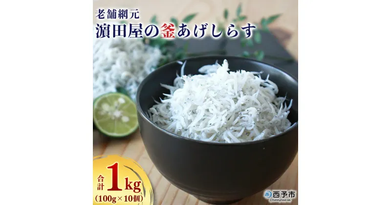 【ふるさと納税】＜老舗網元 濱田屋の釜あげしらす 合計1kg（100g×10個）＞ 釜揚げ シラス じゃこ 海鮮 海産物 丼 おにぎり 具材 ごはんのお供 おつまみ おやつ 小魚 カルシウム 乾物 小分け 国産 マルヨシ水産 特産品 愛媛県 西予市【冷凍】『1か月以内に順次出荷予定』