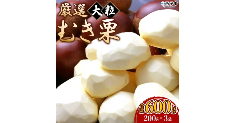 【ふるさと納税】＜厳選 大粒むき栗 合計600g（200g×3袋）＞ くり 生栗 剥き栗 マロン フルーツ 果物 モンブラン 栗ご飯 栗きんとん 栗の甘露煮 秋の味覚 特産品 国産 宇都宮物産 愛媛県 西予市【冷蔵】『2024年10月上旬～10月下旬迄に順次出荷予定』