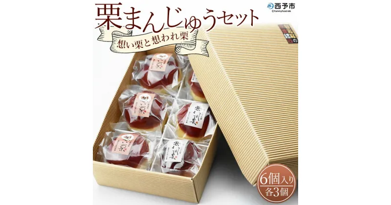 【ふるさと納税】＜栗まんじゅう2種セット「想い栗」と「想われ栗」 6個入り（各3個）＞お菓子 詰め合わせ 和菓子 くり マロン 和栗 お茶菓子 スイーツ 手土産 饅頭 白餡 渋皮煮 道の駅きなはい屋 城川ファクトリー 特産品 愛媛県 西予市【常温】『1か月以内に順次出荷予定』