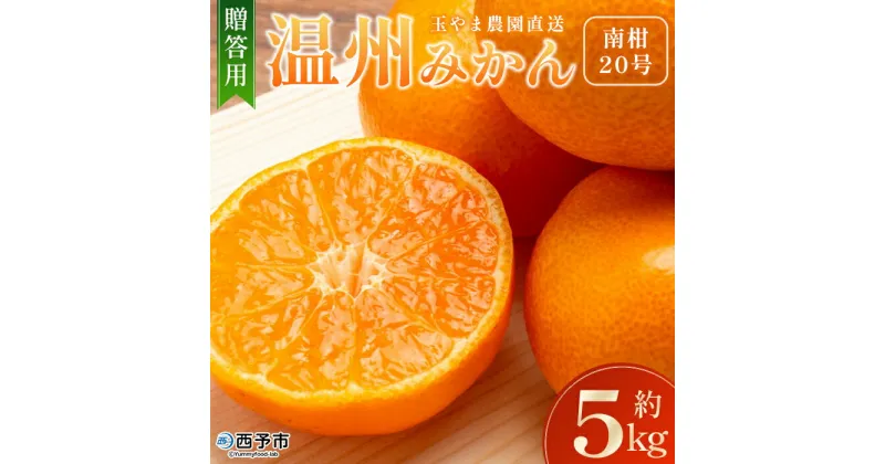 【ふるさと納税】＜玉やま農園直送 温州みかん 南柑20号 約5kg 贈答用＞ 数量限定 5キロ ミカン なんかん 蜜柑 柑橘 フルーツ 果物 果実 くだもの 特産品 甘い ジューシー 旬 ギフト 愛媛県 西予市【常温】『2024年12月中旬～2025年1月上旬迄に順次出荷予定』