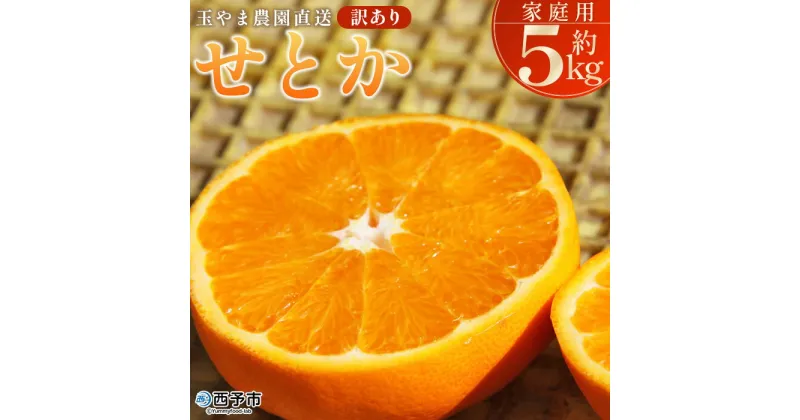 【ふるさと納税】＜【訳あり】 玉やま農園直送 せとか 家庭用 約5kg ＞ 数量限定 期間限定 5キロ みかん ミカン 蜜柑 柑橘類 フルーツ 果物 果実 くだもの 特産品 甘い ジューシー 旬 ご自宅用 訳アリ 愛媛県 西予市 【常温】『2025年3月上旬～3月下旬迄に順次出荷予定』