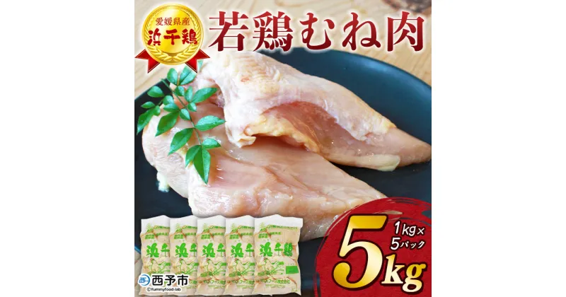 【ふるさと納税】＜銘柄鶏 浜千鶏 愛媛県産 若鶏むね肉 5kg（1kg×5）＞ 国産 鶏肉 鳥肉 とり チキン むね肉 ムネ はまちどり 精肉 にく ブロック 料理 アレンジ 夕飯 夕食 お弁当 昼食 唐揚げ から揚げ マルハフーズ株式会社 愛媛県 西予市 【冷凍】『1か月以内に順次出荷』