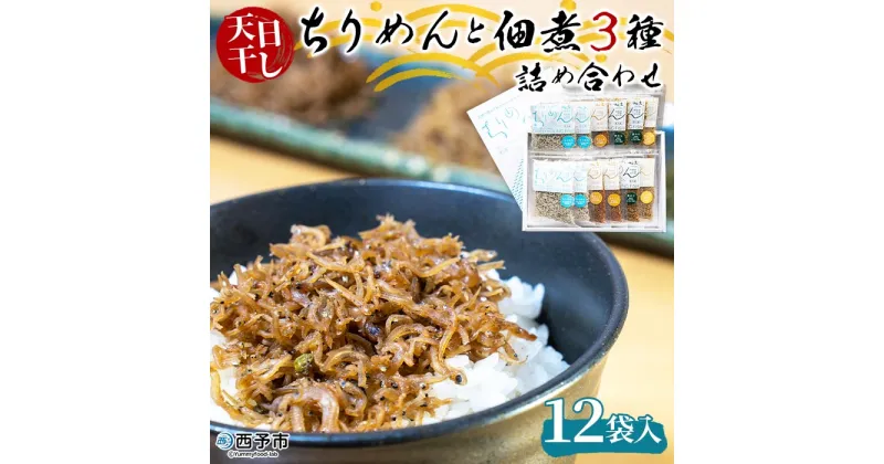 【ふるさと納税】＜天日干し ちりめん＆佃煮3種 詰め合わせ 合計12袋セット ギフト箱入り＞しらす じゃこ 海産物 魚介 つくだに 無添加 実山椒 しょうが ショウガ 生姜 青のり おかず おつまみ 贈答用 食べ比べ 網元・祇園丸 愛媛県 西予市【冷蔵】『1か月以内に順次出荷』