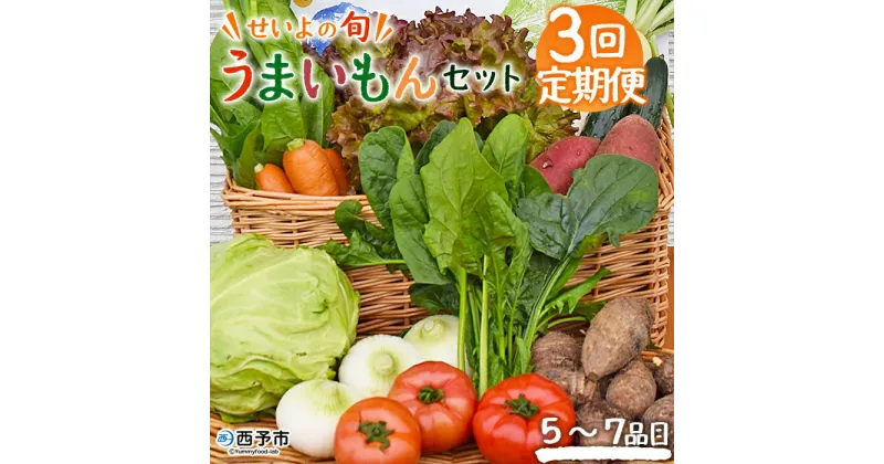 【ふるさと納税】＜せいよのうまいもんセット 3回定期便＞ 西予市産 愛媛県産 国産 旬 季節の野菜 やさい おまかせ 詰め合わせ 5～7品目 お楽しみ 特産品 百姓百品株式会社 愛媛県 西予市 【冷蔵】『1か月以内に第1回目を順次出荷予定』