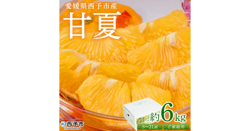 【ふるさと納税】＜愛媛県西予市産 甘夏 ご家庭用 約6kg＞ 訳あり S～2Lサイズ混合 果物 くだもの フルーツ みかん ミカン 蜜柑 あまなつ オレンジ 柑橘 不揃い 食べて応援 特産品 宇都宮物産 愛媛県 西予市【常温】『2025年3月中旬～5月中旬迄に順次出荷予定』