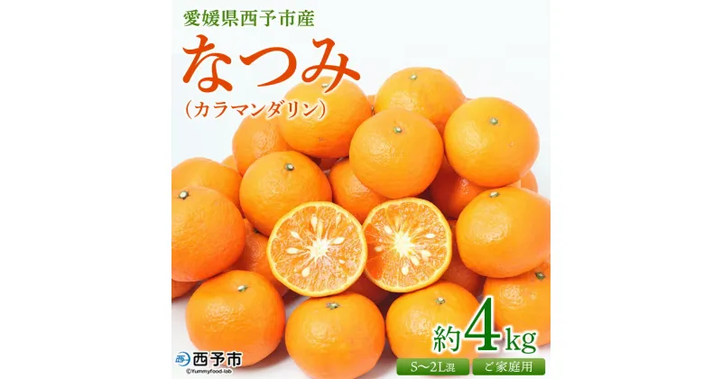 【ふるさと納税】＜愛媛県西予市産 なつみ（カラマンダリン）ご家庭用 約4kg＞ 訳あり 不揃い 果物 くだもの フルーツ みかん ミカン 蜜柑 柑橘 オレンジ おれんじ ナツミ 食べて応援 特産品 宇都宮物産 愛媛県 西予市【常温】『2025年4月上旬～5月上旬迄に順次出荷予定』