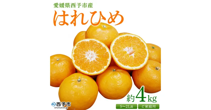 【ふるさと納税】＜愛媛県西予市産 はれひめ ご家庭用 約4kg＞ 訳あり ワケアリ 不揃い 果物 くだもの フルーツ みかん ミカン 蜜柑 柑橘 オレンジ おれんじ ハレヒメ 食べて応援 特産品 宇都宮物産 愛媛県 西予市【常温】『2025年1月上旬～2月上旬迄に順次出荷予定』