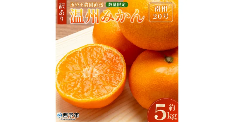 【ふるさと納税】＜【訳あり】温州みかん（南柑20号）約5kg 数量限定 産地直送＞ ワケアリ 家庭用 みかん ミカン うんしゅうみかん ウンシュウ なんかん 蜜柑 柑橘 フルーツ 果物 果実 くだもの 特産品 旬 玉やま農園 愛媛県 西予市【常温】『2024年12月から順次出荷予定』