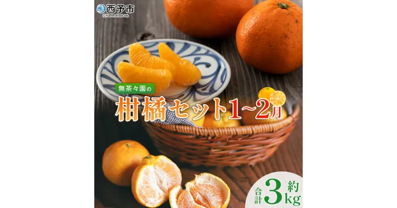 【ふるさと納税】＜無茶々園の柑橘セット 約3kg（1～2月）＞ フルーツ 果物 くだもの 伊予柑 いよかん イヨカン ポンカン ぽんかん みかん 蜜柑 ミカン 詰め合わせ 詰合せ お楽しみ 食べ比べ お試し おためし 特産品 愛媛県 西予市【常温】『2025年1月～2月に順次出荷予定』