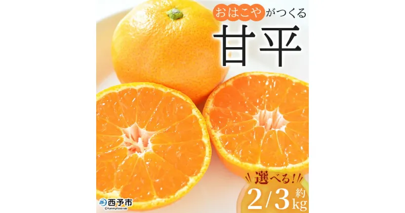 【ふるさと納税】＜おはこやがつくる 甘平 約2kg/3kg（L～3Lサイズ）＞ 果物 フルーツ 柑橘類 かんぺい カンペイ オレンジ みかん ミカン サイズ混合 おいしい 甘い 愛媛限定栽培 特産品 産地直送 西宇和 愛媛県 西予市【常温】『2025年2月上旬から2月下旬迄に順次出荷予定』