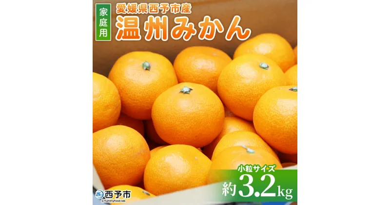 【ふるさと納税】＜愛媛県西予市産 温州みかん 小粒サイズ 家庭用 約3.2kg＞ 愛媛県産 西宇和 小玉 小さめ 家庭用 果物 フルーツ 柑橘 うんしゅうみかん ウンシュウミカン オレンジ ミカン 蜜柑 訳あり 小林果園 愛媛県 西予市 【常温】『2024年11月～12月迄に順次出荷予定』