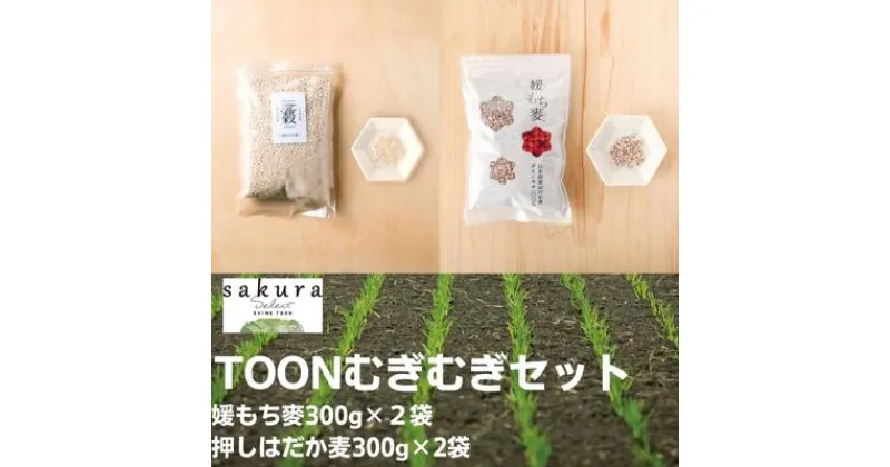 【ふるさと納税】TOONむぎむぎセット　 麦 もち麦 はだか麦 食物繊維 ご飯 サラダ スープ もちもち プチプチ 　お届け：ご寄附（入金）確認後、順次配送致します。