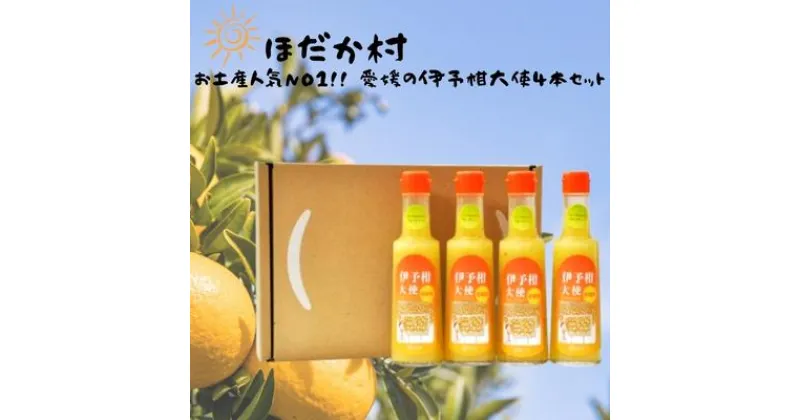 【ふるさと納税】お土産人気NO1！！ 愛媛の伊予柑大使4本セット　 調味料 ドレッシング サラダ 伊予柑 いよかん 愛媛産 カルパッチョ