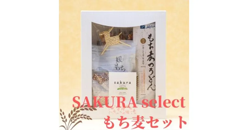 【ふるさと納税】SAKURA select　もち麦セット　 麦 もち麦 うどん せんべい 食物繊維 ご飯 サラダ スープ もちもち プチプチ おやつ 夜食 ランチ お茶請け