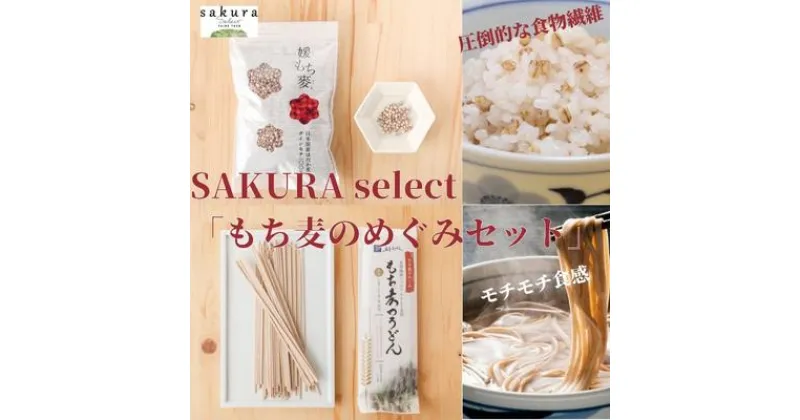 【ふるさと納税】SAKURA select 「もち麦のめぐみセット」　 麺類 うどん 乾麺 お米 もち麦 食物繊維 主食 ランチ 昼ごはん 夜ごはん 夜食