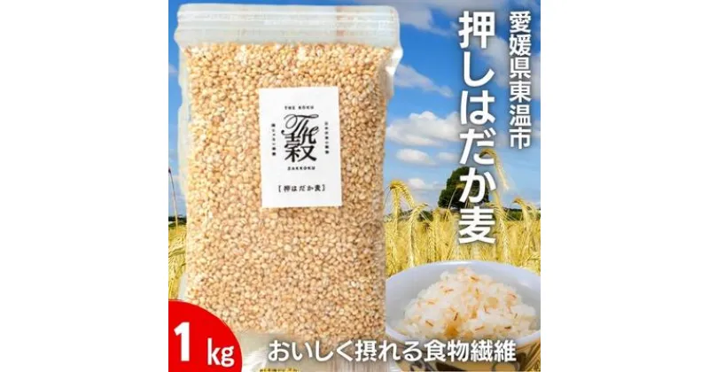 【ふるさと納税】押しはだか麦1kg　 食物繊維豊富 食物繊維 食感 プチプチ あっさり 麦ごはん 食品 食べ物 ご飯 おにぎり お弁当 主食 毎日 炭水化物 国産 日本産 愛媛県産 東温市産 直送 産地直送