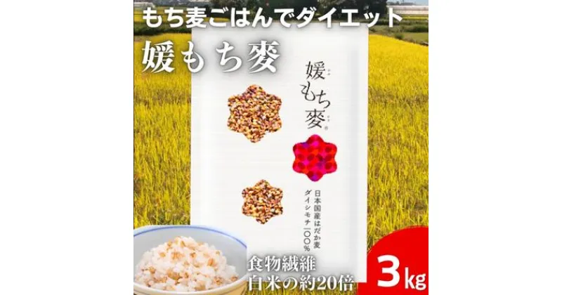 【ふるさと納税】媛もち麥1kg3袋セット／もち麦 麦ごはん 雑穀　 食物繊維豊富 食物繊維 もちもち プリプリ 食感 食品 食べ物 ご飯 おにぎり お弁当 主食 毎日 炭水化物 国産 日本産 愛媛県産 東温市産 直送 産地直送