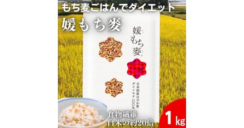 【ふるさと納税】媛もち麥1kg／もち麦 麦ごはん 雑穀　 食物繊維豊富 食物繊維 もちもち プリプリ 食感 食品 食べ物 ご飯 おにぎり お弁当 主食 毎日 炭水化物 国産 日本産 愛媛県産 東温市産 直送 産地直送