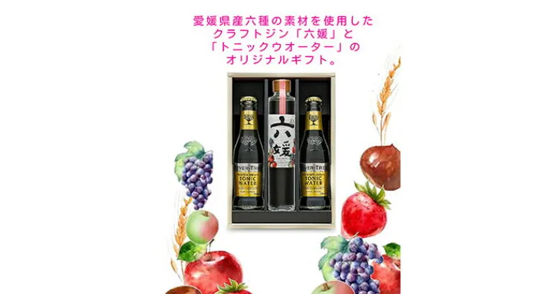 【ふるさと納税】道後ジン 六媛・トニックセット（G6-200）　 お酒 晩酌 家飲み 宅飲み 愛媛県産素材 ボタニカル 華やかな香り 香ばしい香り キレ のかな甘み トニックウォーター