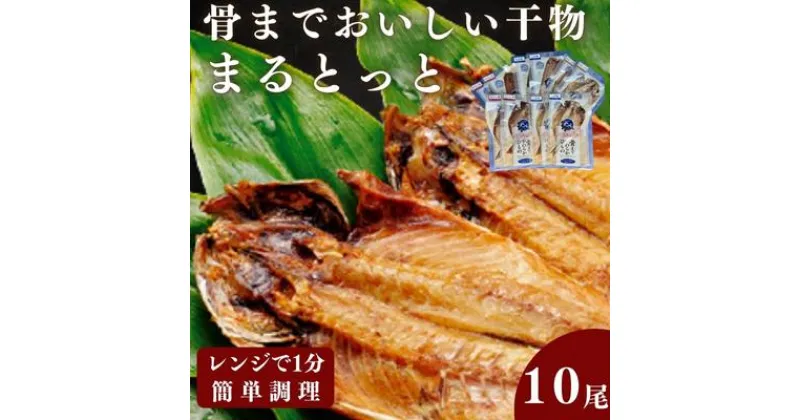 【ふるさと納税】骨までおいしい干物「まるとっと」お手軽1尾セット　 魚貝類 加工品 干物セット ギフトセット あじ開き みりん干し さんま開き 魚 おかず