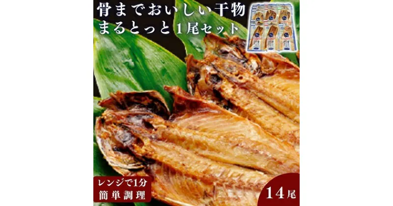 【ふるさと納税】骨までおいしい干物「まるとっと」1尾セット　 魚貝類 加工品 干物セット 魚 おかず あじ開き みりん干し さんま開き たい丸物 朝食 食卓