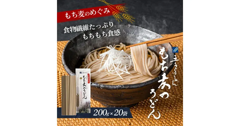 【ふるさと納税】もち麦のうどん　 麺類 ランチ お昼ご飯 夕飯 晩御飯 もちもち食感 食物繊維