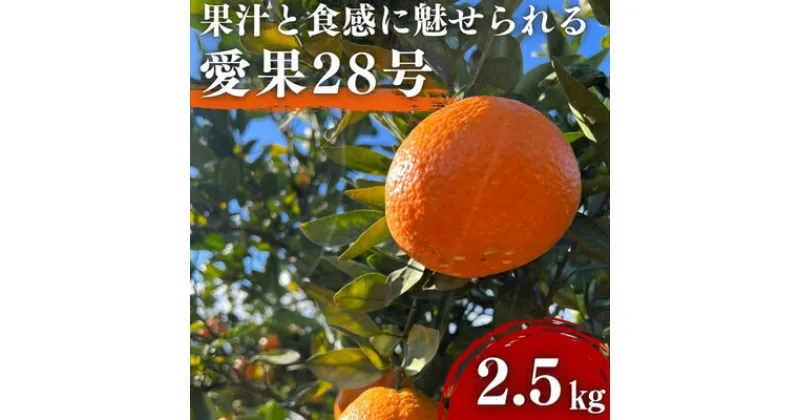 【ふるさと納税】愛果28号 約2.5kg 東温市産 サイズお任せ 今が旬 農園直送 みかん 人気 数量限定 先行予約 柑橘 蜜柑 ミカン 愛媛みかん かんきつ 国産 愛媛県 産地直送 フルーツ 果物 くだもの 甘い 2.5キロ箱　東温市　お届け：2024年12月中旬～2025年1月下旬