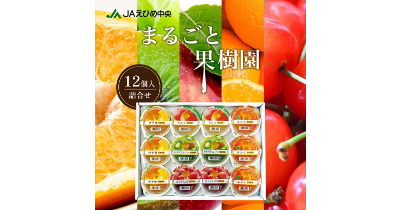 【ふるさと納税】NO.12まるごと果樹園詰合せ　東温市　お届け：商品の出荷は、2025年1月中旬以降になります。※お届け日の指定は出来ません。