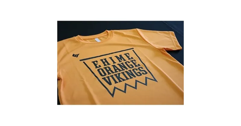 【ふるさと納税】【会場をオレンジに染めよう!】バイクスTシャツ・キャップ2点セット【1109400】