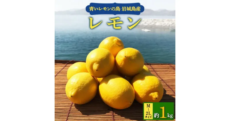 【ふるさと納税】青いレモンの島　レモン約1kg【お試しセット】【1287524】