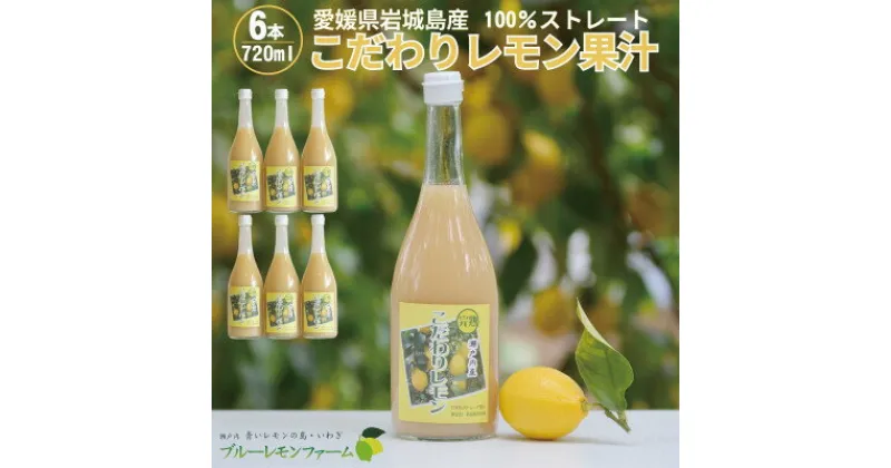 【ふるさと納税】愛媛　ブルーレモンファームのレモン果汁　720ml×6本セット【1489706】